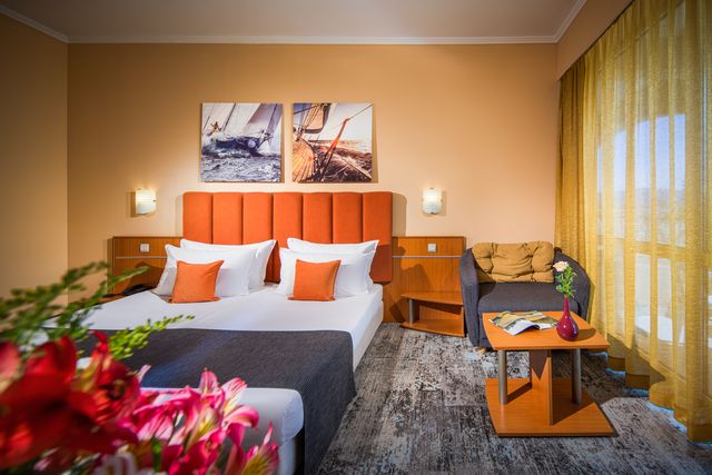 Alba Hotel - Double room standard